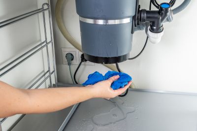 Garbage Disposal Repair